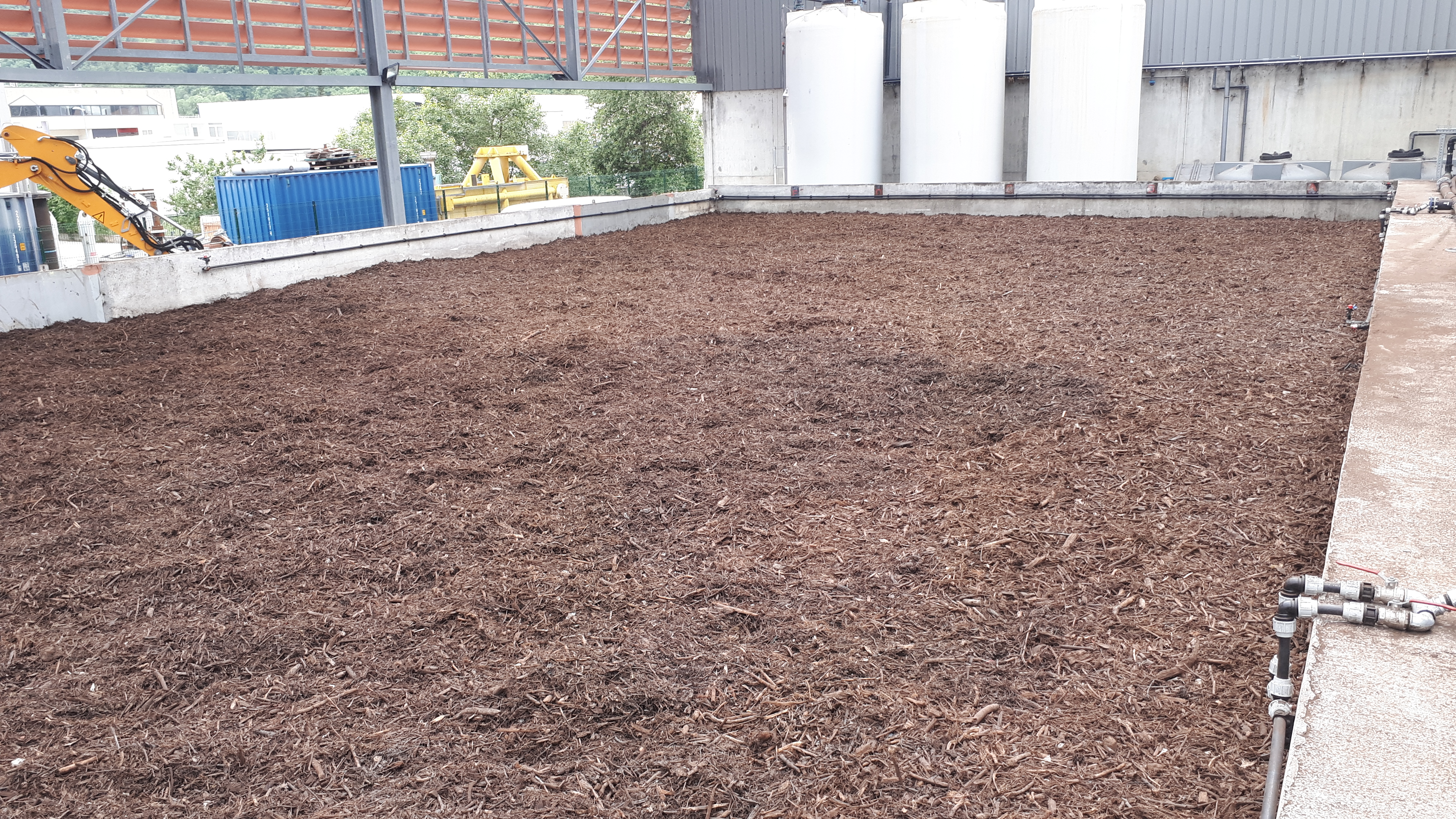 Compost Compost