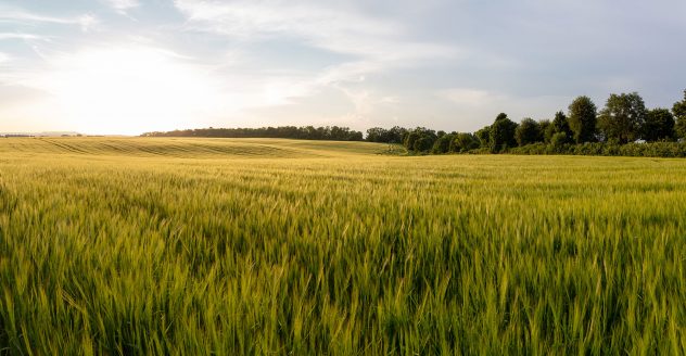 AdobeStock_272679686
